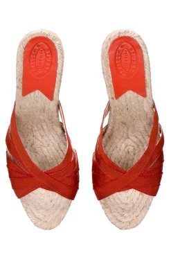 Terracotta (Grace)<Stubbs & Wootton Hot